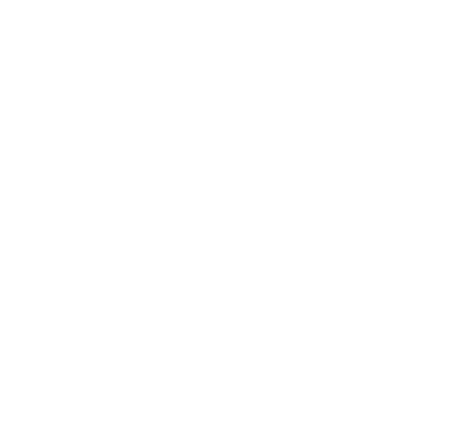 Various fun shapes using pancake molds!